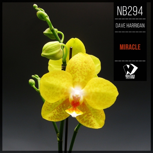 Dave Harrigan - Miracle [NB294]